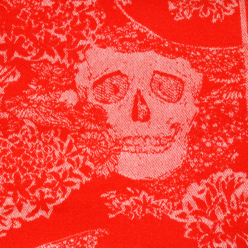 NEW $895 ALEXANDER MCQUEEN Red & Ivory DREAMING SKULL Print WOOL-BLEND Scarf