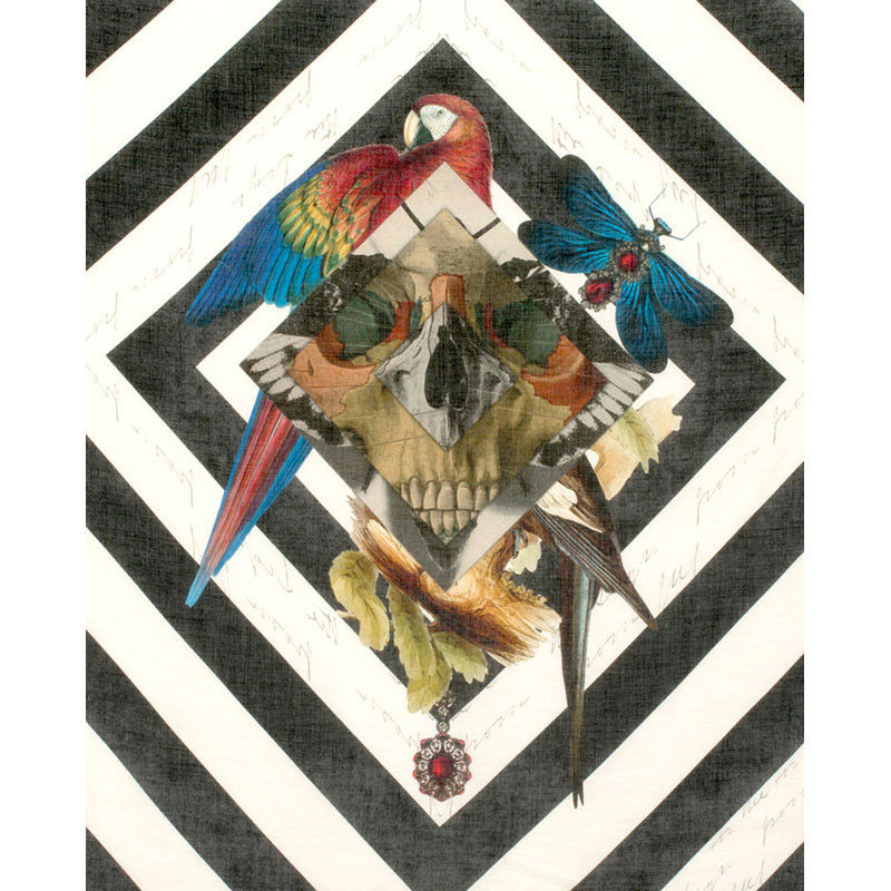 NEW $595 ALEXANDER MCQUEEN Botanical Master SKULL BIRDS Modal Wool Shawl SCARF