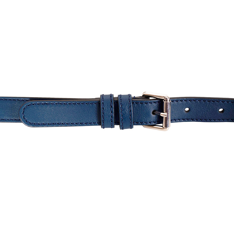 NEW $1890 GUCCI Canvas LUNAR SNAKE BLUE Embroidered GG LOGO Crossbody Camera BAG