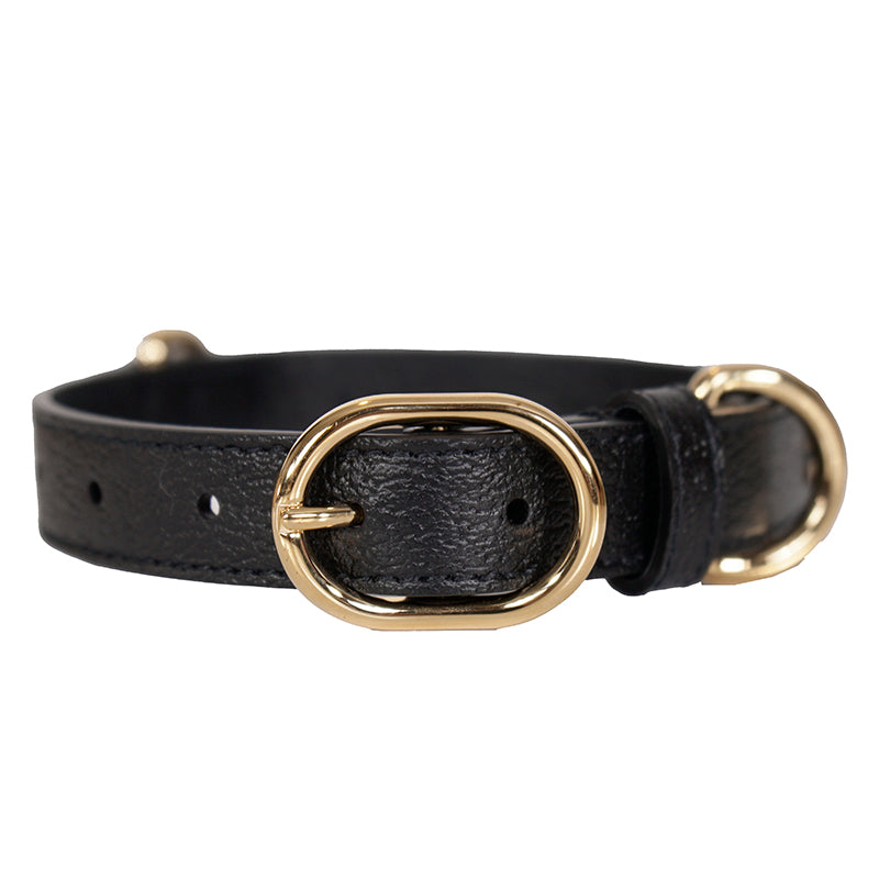 NEW $480 GUCCI Black Demetra Leather GOLD GG Logo PET Cat/Dog 100cm LEASH NIB