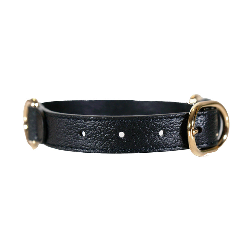 NEW $480 GUCCI Black Demetra Leather GOLD GG Logo PET Cat/Dog 100cm LEASH NIB