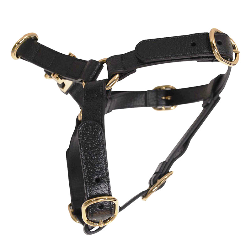 sz M NEW $650 GUCCI Black Demetra Leather-Style Gold Hardware LOGO PET HARNESS