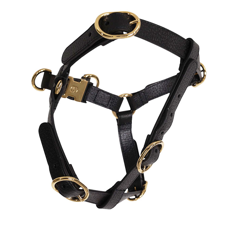 sz M NEW $650 GUCCI Black Demetra Leather-Style Gold Hardware LOGO PET HARNESS