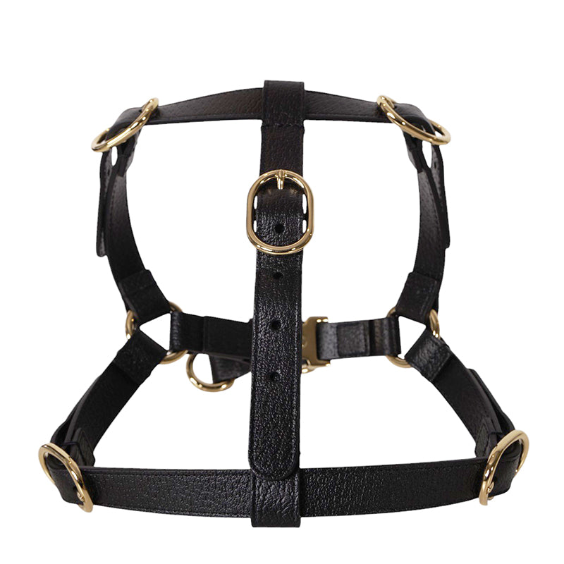 sz M NEW $650 GUCCI Black Demetra Leather-Style Gold Hardware LOGO PET HARNESS