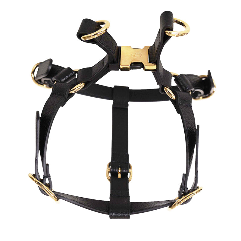 sz M NEW $650 GUCCI Black Demetra Leather-Style Gold Hardware LOGO PET HARNESS