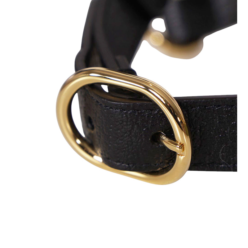 sz M NEW $650 GUCCI Black Demetra Leather-Style Gold Hardware LOGO PET HARNESS