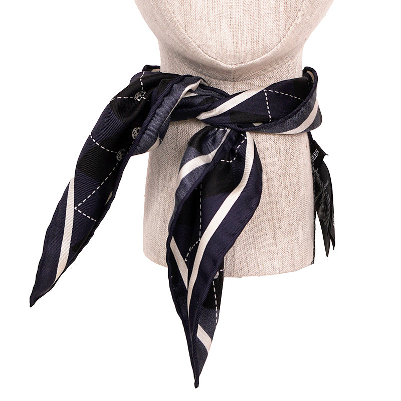 NEW $395 ALEXANDER MCQUEEN Blue ARGYLE SKULL PRINT 17" Handkerchief NECK SCARF