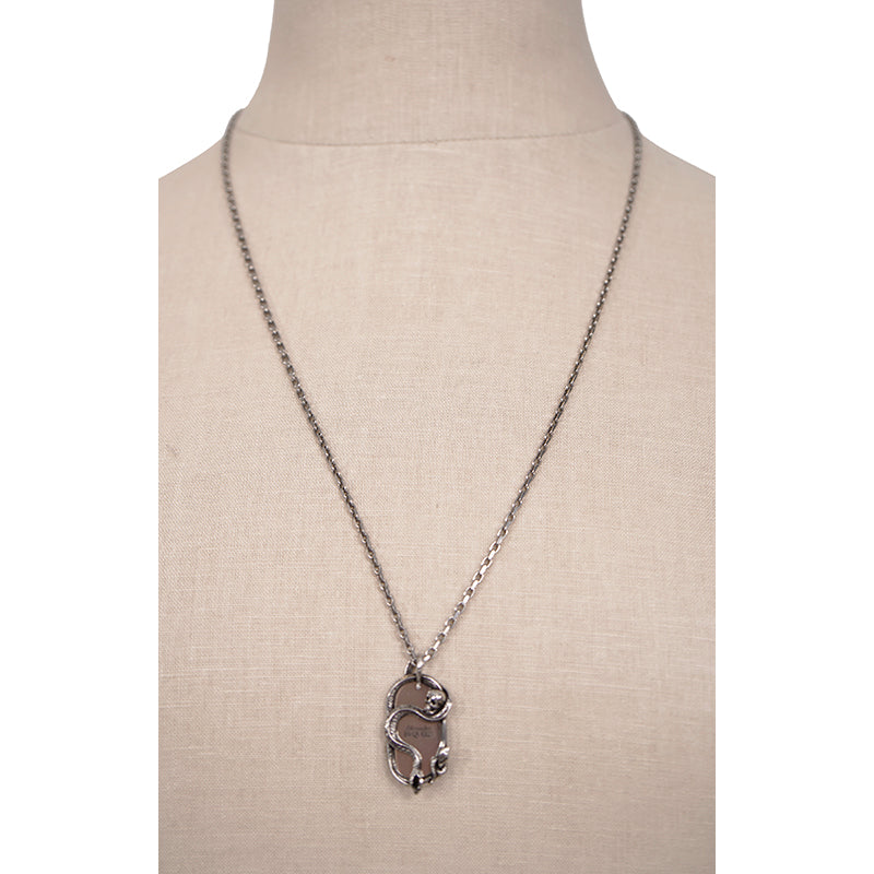 NEW $590 ALEXANDER MCQUEEN Dog Tag SNAKE & SKULL Silver Tone Brass NECKLACE NWT
