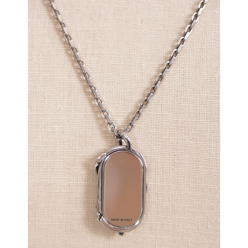 NEW $590 ALEXANDER MCQUEEN Dog Tag SNAKE & SKULL Silver Tone Brass NECKLACE NWT